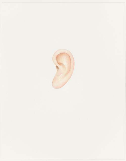Ear