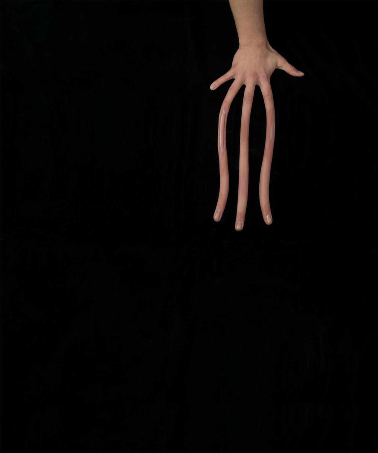 Jamie Isenstein